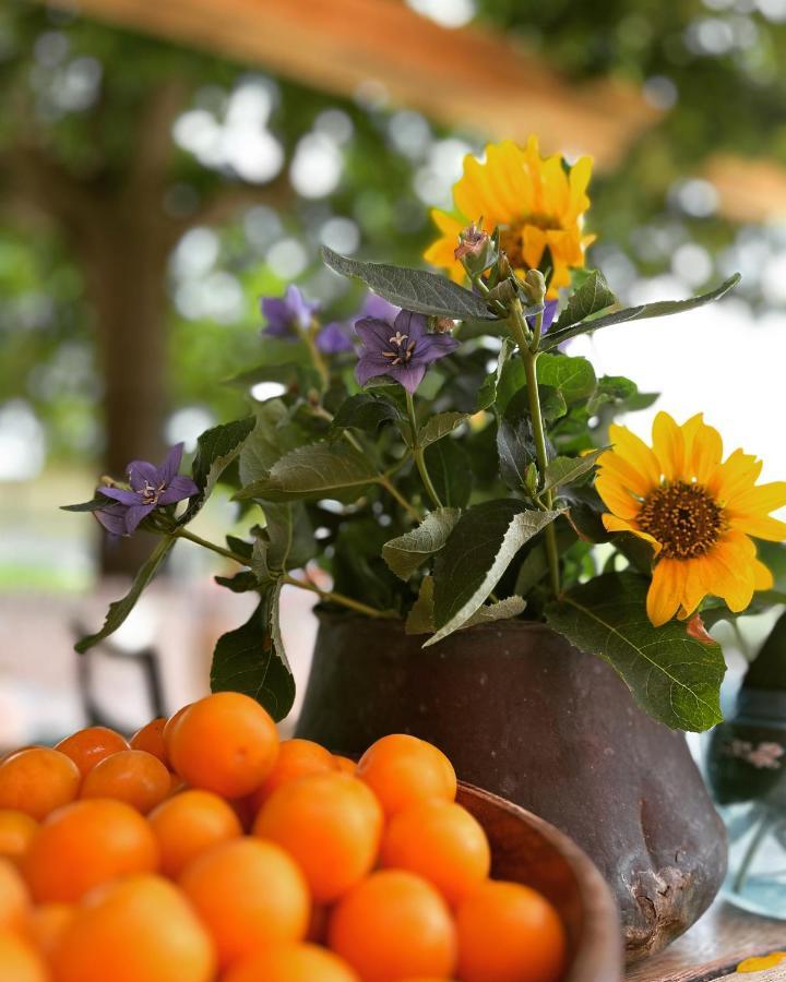 Podere Orzale Agri Hospitality Usigliano Ngoại thất bức ảnh