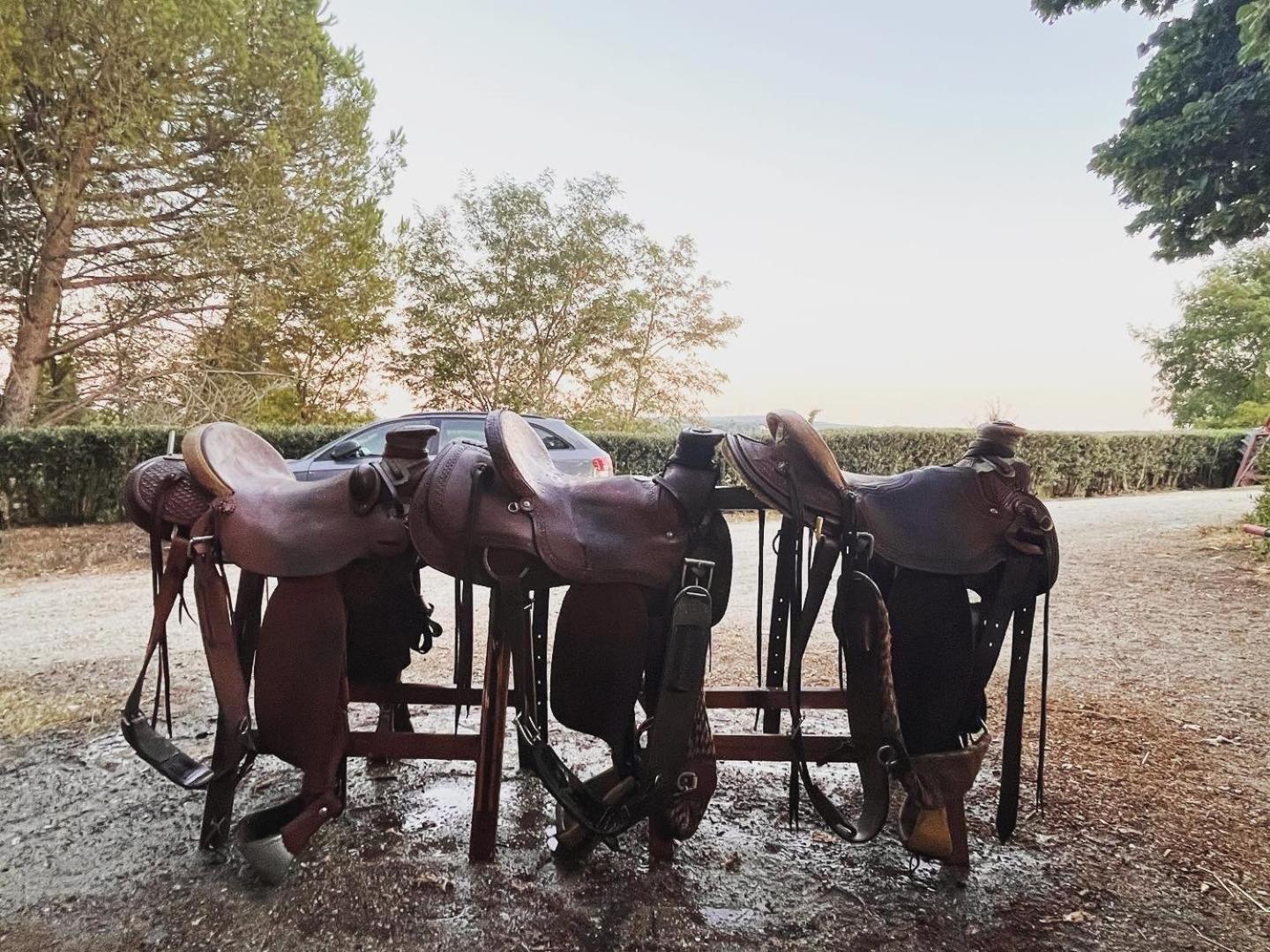 Podere Orzale Agri Hospitality Usigliano Ngoại thất bức ảnh
